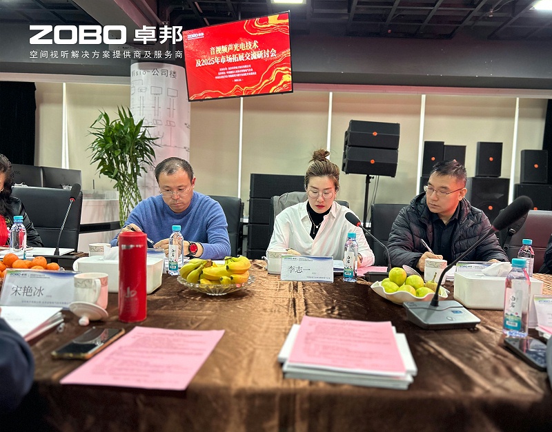 共筑智控新生态 | 2025音视频声光电技术融合与市场拓展研讨会在ZOBO91香蕉视频官网召开