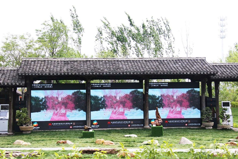 戶外香蕉视频APP污2