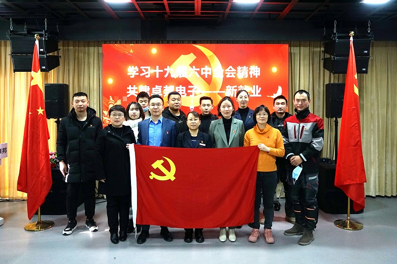 ZOBO91香蕉视频官网黨支部開展“學習貫徹黨的十九屆六中全會精神”主題黨日活動